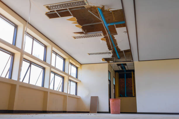 Best Flood restoration services  in Burke Centre, VA