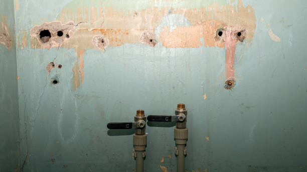 Best 24/7 water damage repair  in Burke Centre, VA