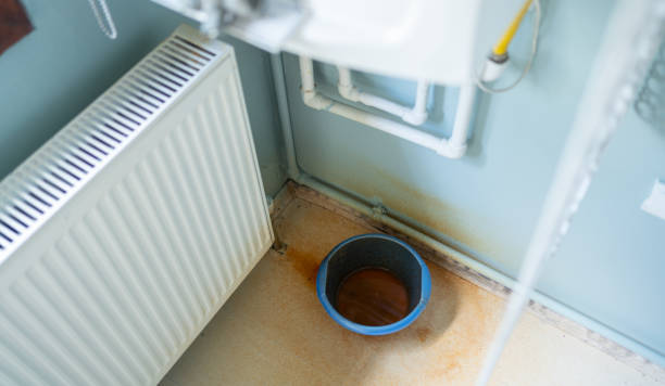 Best Mold removal after water damage  in Burke Centre, VA